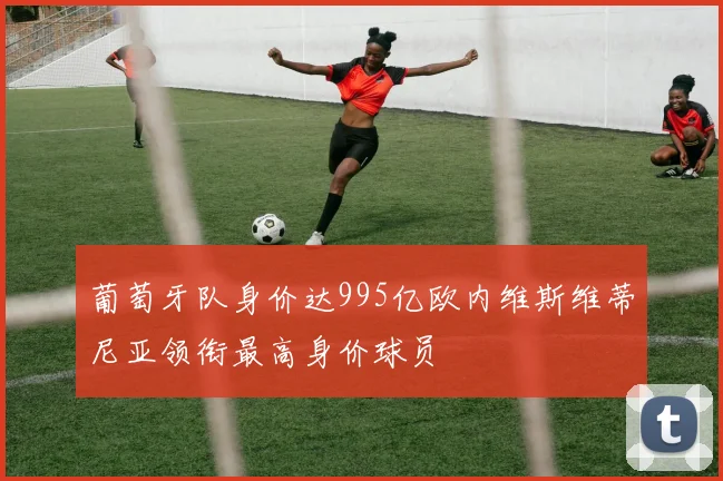 葡萄牙队身价达995亿欧内维斯维蒂尼亚领衔最高身价球员
